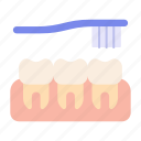 teeth, brushing, toothbrush, oral, care