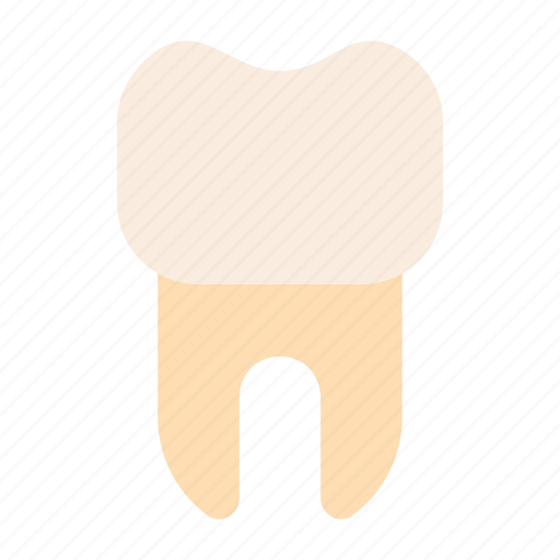 Tooth, teeth, dental, dentist icon - Download on Iconfinder