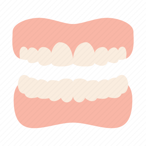 Tooth, teeth, dentist, dental icon - Download on Iconfinder
