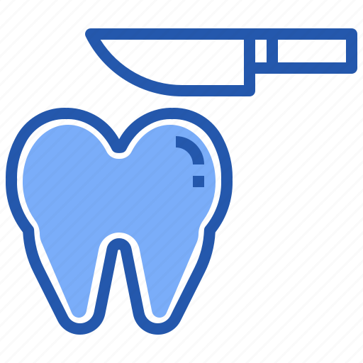 Dissection, dental, tooth, care, treatment, protect icon - Download on Iconfinder