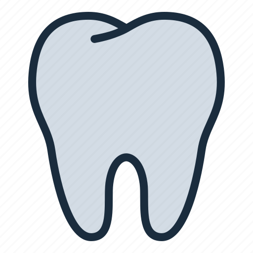 Tooth, helthy, dentist, dental, medical, healthcare icon - Download on Iconfinder