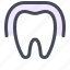 dental, dentist, enamel, tooth, medical 