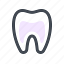 dental, dentist, gum, gums, tooth, root, canal