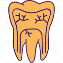 tooth, teeth, root canal, dentistry, endodontics