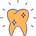 tooth, teeth, dental, care, new, healthy