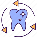 teeth refresh, teeth with arrows, tooth, teeth, virtual view