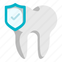tooth, artificial, teeth, safety, protection, warranty, guaranteed