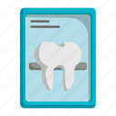 tooth, teeth, x ray, report, file, document