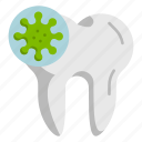 teeth, tooth, dental, decayed, damaged, artificial, bacteria