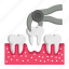 teeth pulling, teeth extraction, forceps, plier, tooth, healthcare 