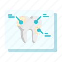 tooth, teeth, dental, facts, figures, care, dentistry