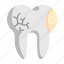 tooth, teeth, dental, decayed, root canal, dentistry 