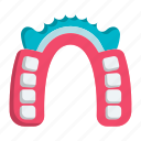 teeth, denture, tooth, internal, partial denture, removeable, dental