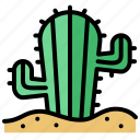 cactus, desert, nature, plant, green, ecology
