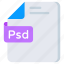 file format, filetype, file extension, document, psd file 