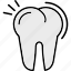 toothache, dental, orthodontic, periodontics, root, teeth, tooth 