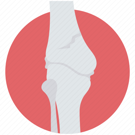 Bone, bone crack, disease, injury, joint pain icon - Download on Iconfinder
