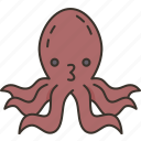 octopus, sea, life, under, water