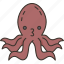 octopus, sea, life, under, water 
