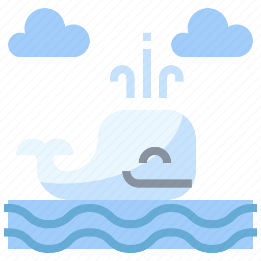 Animal, kingdom, mammal, ocean, oceanic, sea, whale icon - Download on Iconfinder