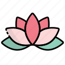 lotus, flower, yoga, meditation, nature, relaxation, healthy