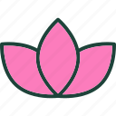 lily, flower, diwali, hindu, buddhist, sikh, light, festival
