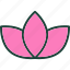lily, flower, diwali, hindu, buddhist, sikh, light, festival 