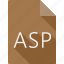 asp, document, file, file format, page, paper, sheet 