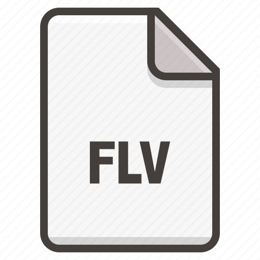Document, file, flv, format icon - Download on Iconfinder