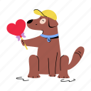 dog lollipop, dog candy, dog pet, cute dog, cute puppy 