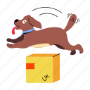 dog jumping, puppy jumping, dog pet, dog delivery, cute dog 