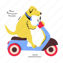 dog scooter, dog riding, animal riding, cute dog, dog vehicle 