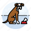 boxer, pet, dogs, dog, puppy 