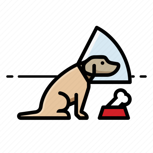 Labrador retriever, dogs, pets, dog, puppy icon - Download on Iconfinder
