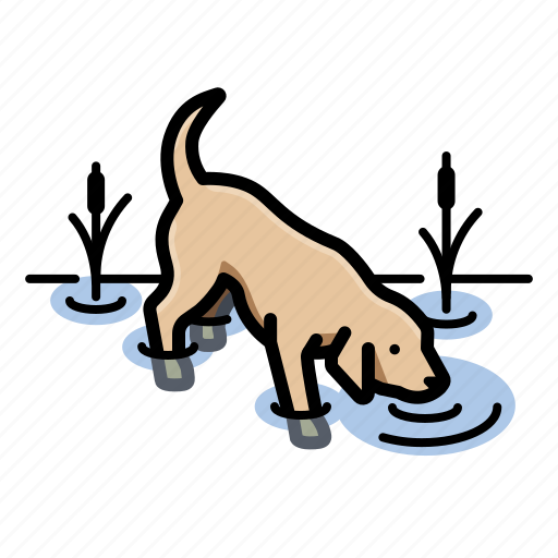 Labrador retriever, pet, dogs, dog, puppy icon - Download on Iconfinder