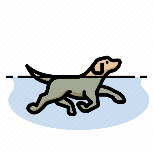 Dog swimming, labrador retriever, dogs, pet, puppy icon - Download on Iconfinder