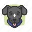 avatars, dogs, gray, puppy 