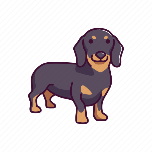 Animal, dachshund, dogs, pet icon - Download on Iconfinder