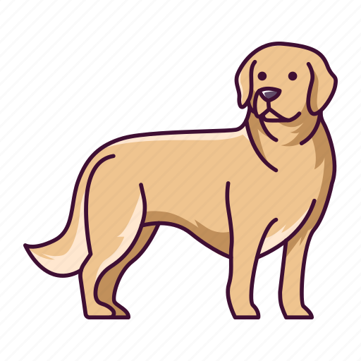 Animal, dogs, golden, pet, retriever icon - Download on Iconfinder