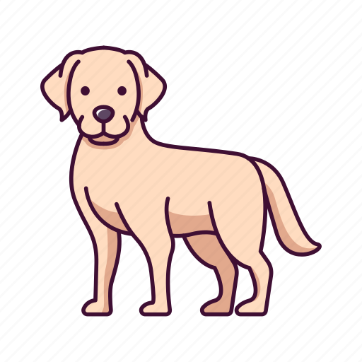 Animals, dogs, labrador, pet, retriever icon - Download on Iconfinder