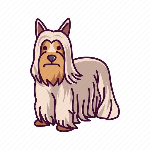 Animal, dogs, pet, terrier, yorkshire icon - Download on Iconfinder