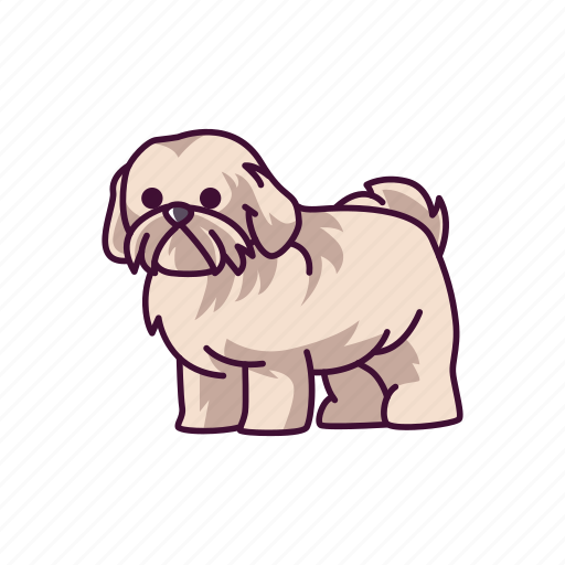 Animal, dogs, pet, shih, tzu icon - Download on Iconfinder