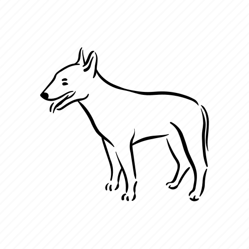 Dog, breeds, bull terrier, animal, pet, puppy icon - Download on Iconfinder