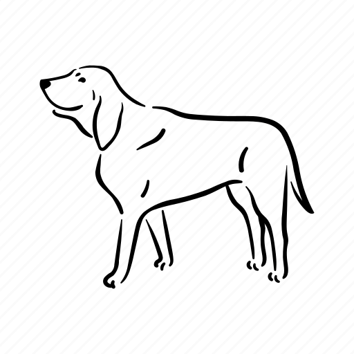 Dog, breeds, bloodhound, animal, pet, puppy, domestic icon - Download on Iconfinder