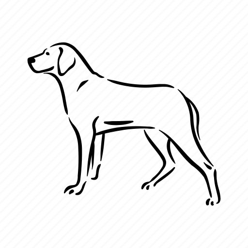Dog, breeds, magyar, vizsla, animal, pet, puppy icon - Download on Iconfinder