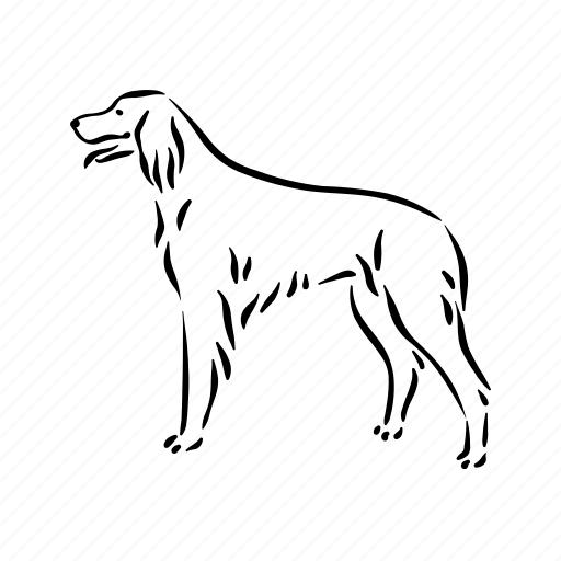 Dog, breeds, setter, animal, pet, puppy, domestic icon - Download on Iconfinder
