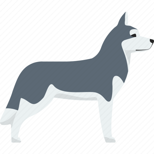 Siberian, husky, pet, dog icon - Download on Iconfinder