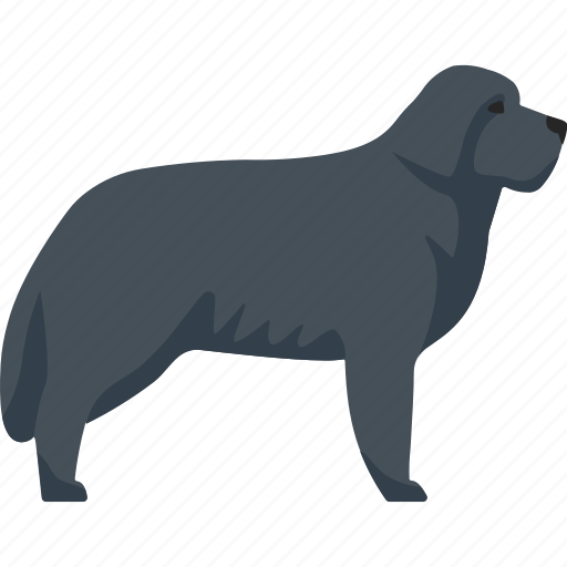 Newfoundland, giant, big, dog icon - Download on Iconfinder