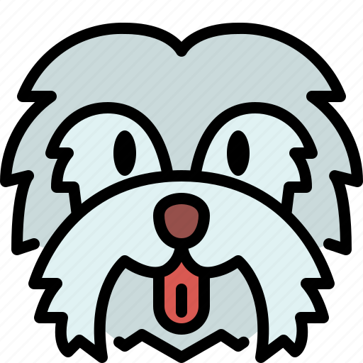 Maltese, dog, breed, pet, puppy, animal, cute icon - Download on Iconfinder