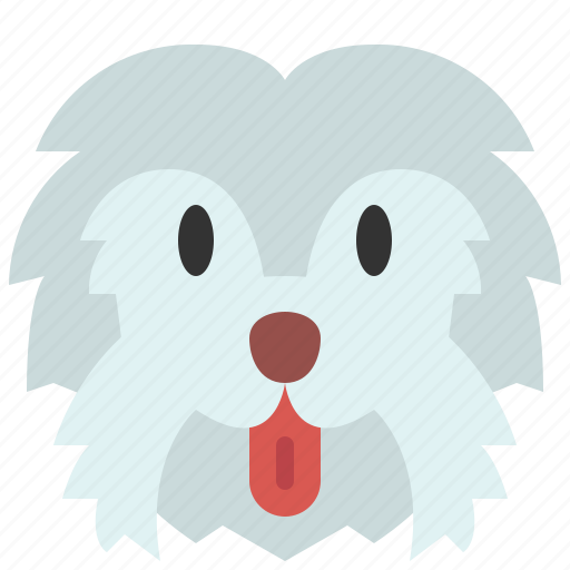 Maltese, dog, breed, pet, puppy, animal, cute icon - Download on Iconfinder